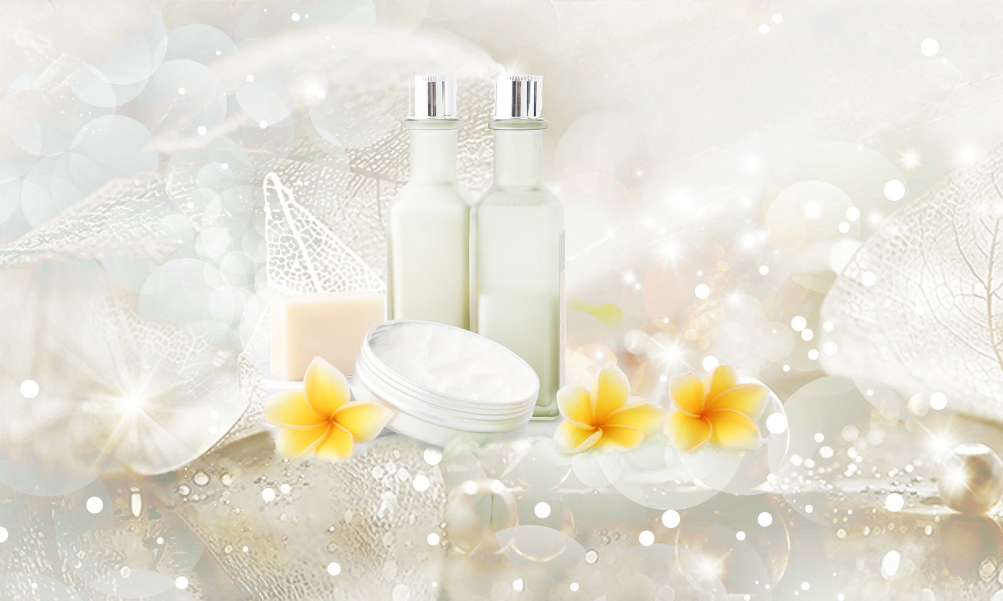 メインイメージ1